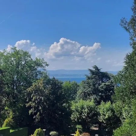 Magnifique A