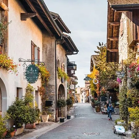 Magnifique A Apartment Évian-les-Bains